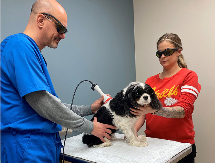 Kansas City Veterinary Services Exceptional Veterinary Care